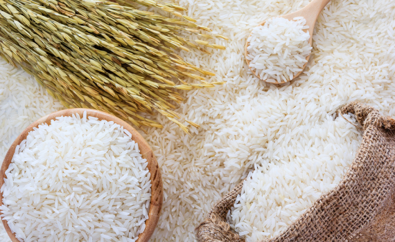 Gạo sạch hữu cơ - Gạo Gia Phú - Công Ty TNHH Nông Sản Gia Phú